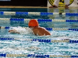 Bremen DKMM